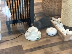-袖虎·猫馆(体育西路店)