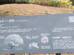 -云溪植物园