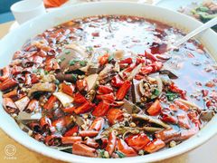 -香浙汇(望京店)