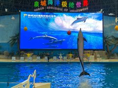 -泉城欧乐堡海洋极地世界