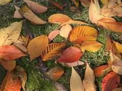 -苏州河梦清园环保主题公园