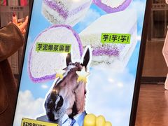 -龍歌自助小火锅(市南金茂湾店)