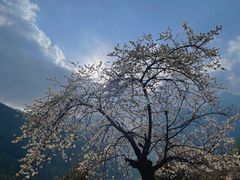 -玉龙雪山蓝月谷