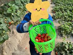 -兴芮温泉度假区