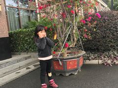 -厦门悦华酒店