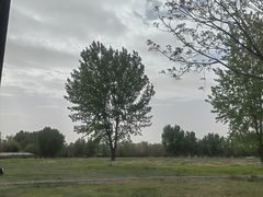 -汉长安城未央宫国家考古遗址公园