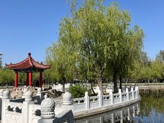 -莱西月湖公园