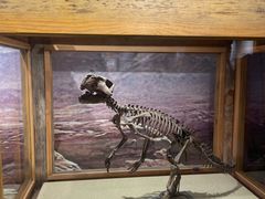 -国家自然博物馆