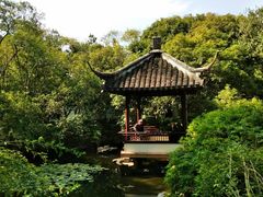 -上海醉白池公园