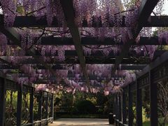 -北京市劳动人民文化宫(太庙)