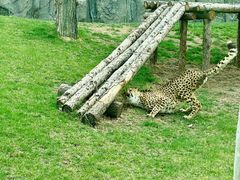 -北京野生动物园