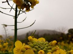 android_upload_pic-广州市石门国家森林公园