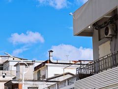 -溪岸路花鸟市场