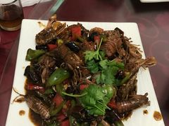-烁佳海鲜大馅饺子