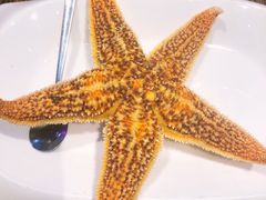 -蚝堡海鲜·威海菜·海肠捞饭·烧烤·亚洲吃蚝公司(幸福门店)