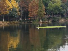 -重庆彩云湖湿地公园
