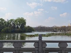 -翠湖公园