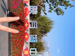-映月湖中央公园