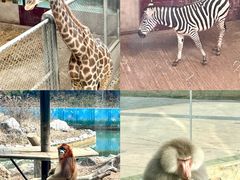 -汤山紫清湖旅游区