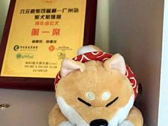奖状-柴犬高等学院·狗咖·柴犬售卖·宠物训练