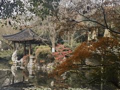 -闻莺馆(柳浪闻莺店)