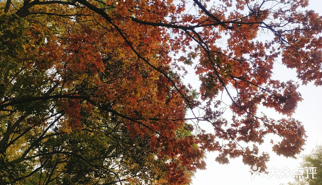 淄博市内休闲好去处，淄博市人民公园