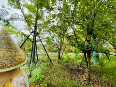 -太白山御龙湾温泉