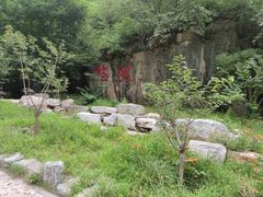 -十渡东湖港风景区