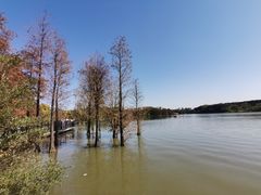 -海珠湖公园