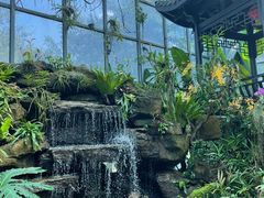 -东莞植物园