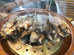 -蒙料·手把肉(望京店)