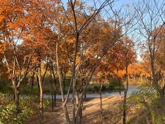 -森林公园(尖草坪区)