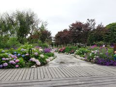 -洪湖家庭农场·团建·露营·会议