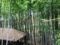 -宝岩生态观光园