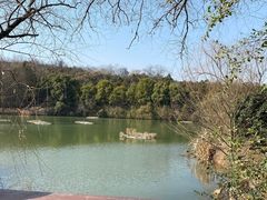 -天生桥景区