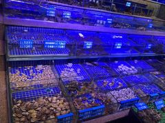 -青蓬蒸汽海鲜·深圳老字号·团建聚会(壹方城店)