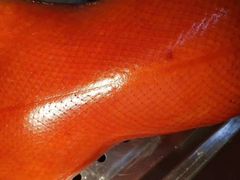 -荷栖小院·品质江西菜(红谷滩店)