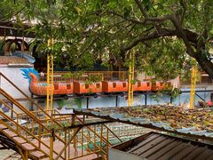 -顺德大良半月城游乐场