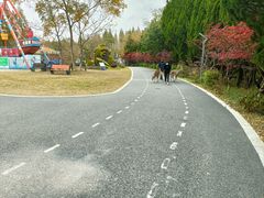 -东平国家森林公园
