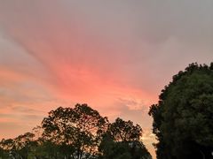 -中南财经政法大学(首义校区)