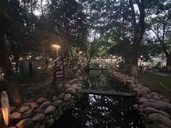 -成都市活水公园