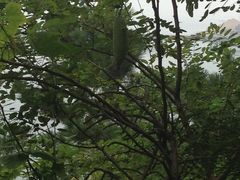 景点-西尖山公园