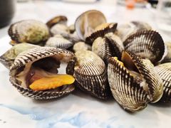 -老杨饭店(万科里店)