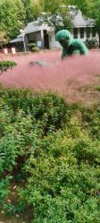 -河南中医药大学第一附属医院-医疗整形
