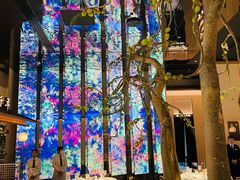 -桂满陇·海市蜃楼·黑金(国金店)