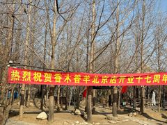 -香木香羊(小汤山店)