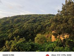 -平湖九龙山旅游度假区
