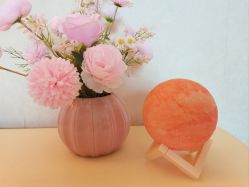 -生命加•Q考拉月子会所(玫瑰园店)