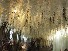 大堂-淀里船宴(裕华东路店)