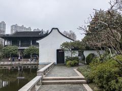 -红梅公园